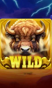 Buffalo Power Claw: Hold and Win