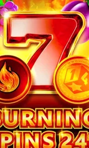 Burning Spins 243